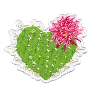 Puede incluir: Un cactus verde con una flor rosa en forma de corazón. El cactus está bordado con puntadas blancas.