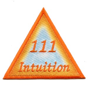 May include: Orange triangle patch with the number 111 and the word "Intuition" embroidered in yellow.