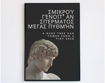May include: A black and white poster with a quote in Greek and English. The quote says "From a tiny seed, a huge tree can grow." The poster features a black and white image of a classical sculpture of a man's head.
