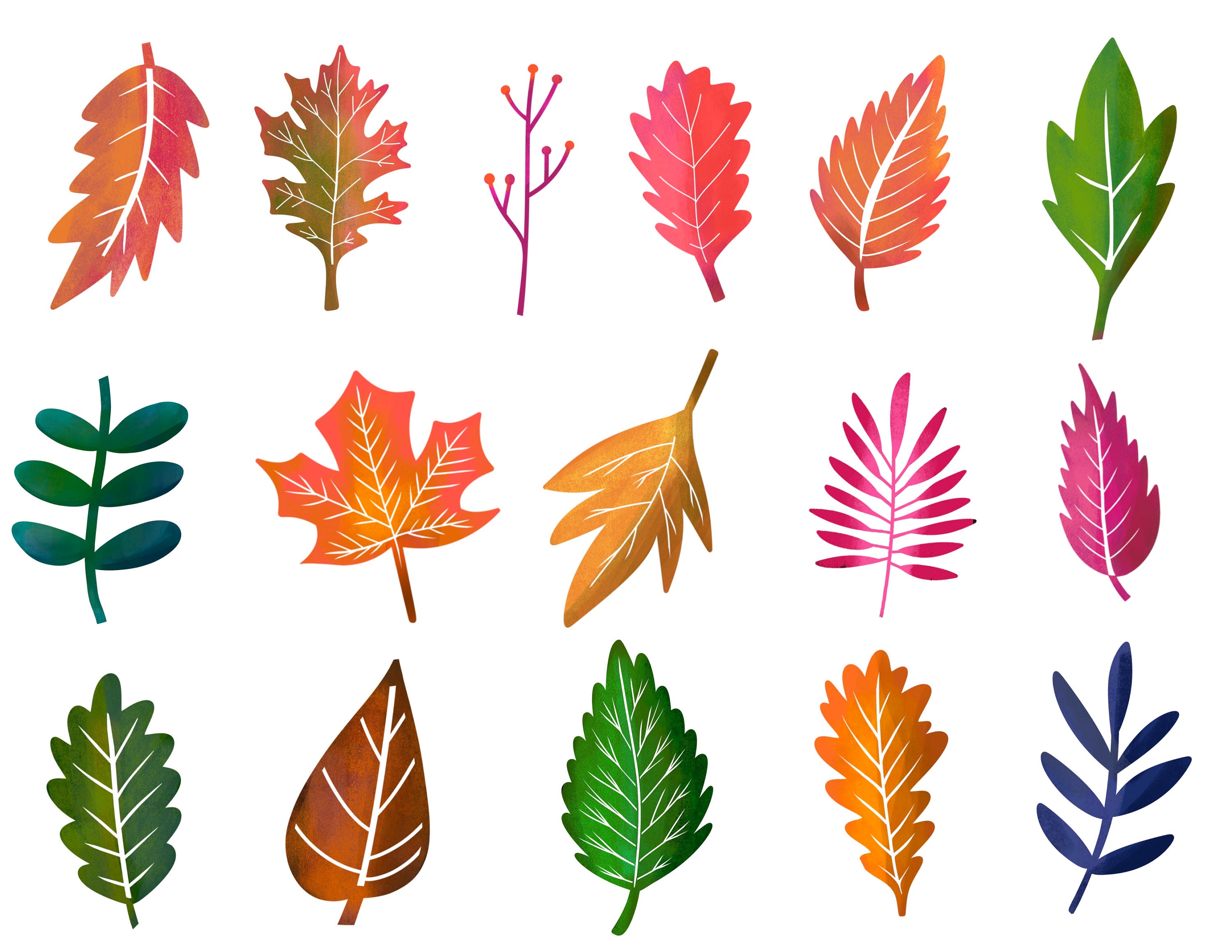 60 Fall Leaf Procreate Stamps: Hand-drawn Botanical Brush Set - Etsy