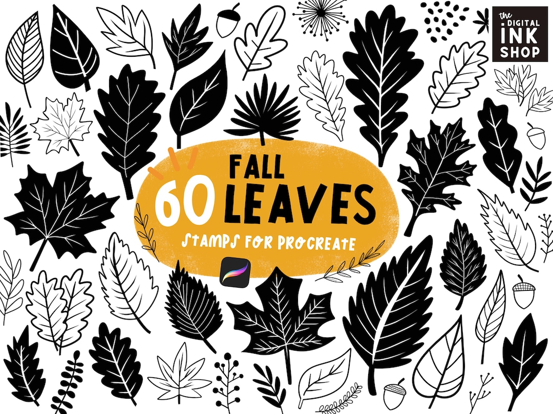 60 Fall Leaf Procreate Stamps: Hand-drawn Botanical Brush Set - Etsy