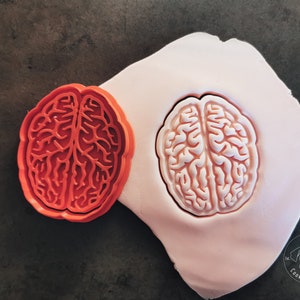 Cortador de biscoitos de anatomia cerebral I Cortador de biscoitos de cérebro