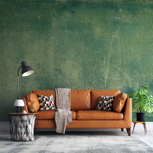 RETRO Green Concrete Wallpaper | Faux Texture | Decorative Paint | Boho Wall Art | Stucco Plaster Effect #414