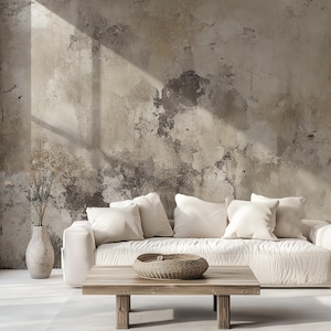 VINTAGE Gray Concrete Wallpaper | Faux Texture | Decorative Paint | Boho Wall Art | Stucco Plaster Effect #709