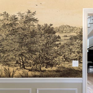 OLD Forest Landscape Wallpaper | Removable Tropical Wallpaper | Vintage Scenic Wallpaper | Panoramique | Peel and Stick #482