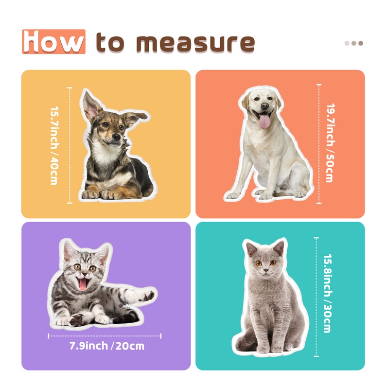 Custom Pet Pillow Dog Throw Pillow 3D Pillow by Pet Photo Etsy