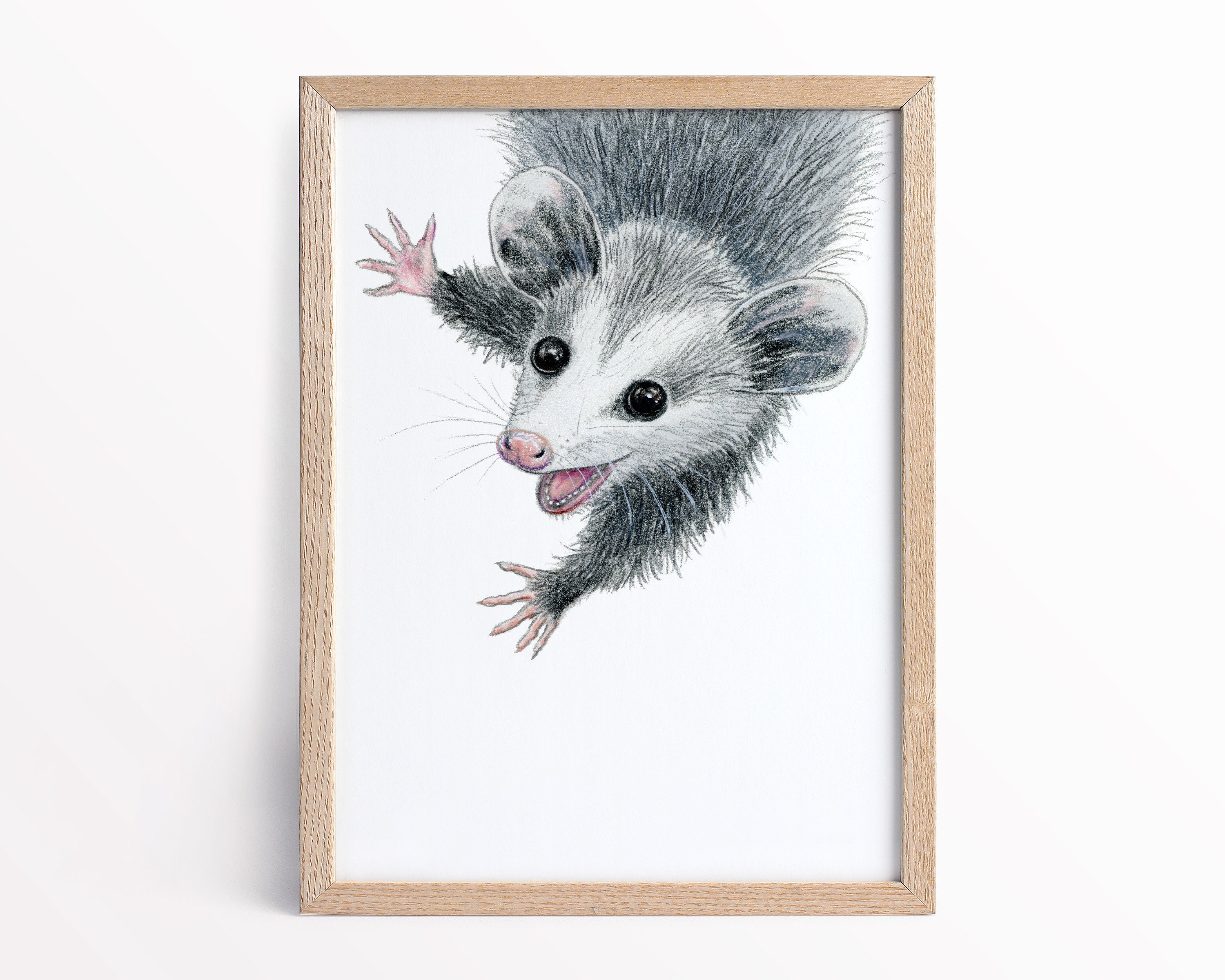 Printable Opossum Poster | Woodland Nursery Decor | Opossum Print for ...
