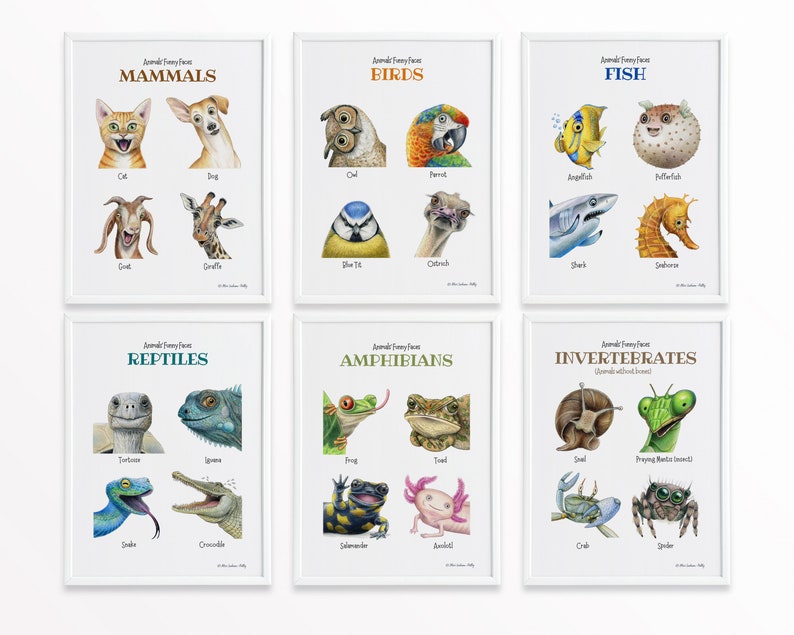 Druckbare Biologie Poster Set, pädagogische Poster, Wissenschaft Klassenzimmer Dekor elementar, Homeschool Wandkunst, pädagogische Ausdrucke Bild 10