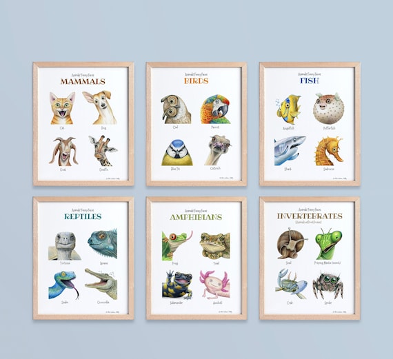 printable-biology-art-print-set-educational-poster-science-etsy