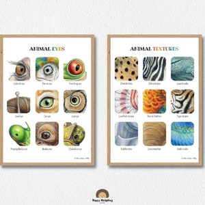 PRINTABLE Educational Posters, Science Classroom Decor Bundle, Animal ...