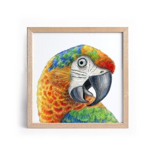 Printable Parrot painting / Tropical print / Jungle illustration / Colorful Macaw Parrot / Bird printable art / Rainforest print