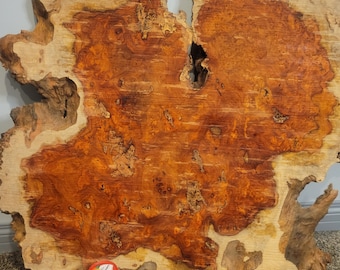 Large slice of Amboyna burl