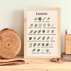 Montessori Inspired Leaves Educational Art, boho art