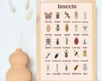 Montessori Inspired Educational Learning Insects Chart, Toddler learning Poster for playroom