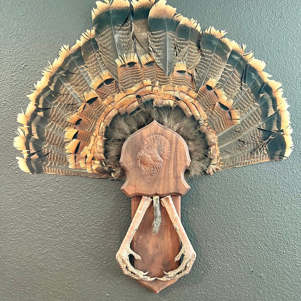 Turkey Fan Mount Etsy
