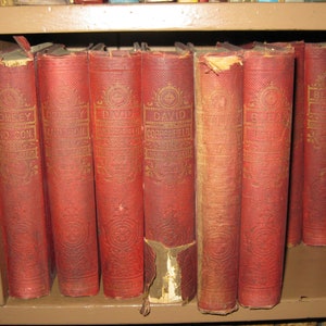 Works of Charles Dickens 22 volumes /1 duplicate Vintage Antique RARE FIND image 1