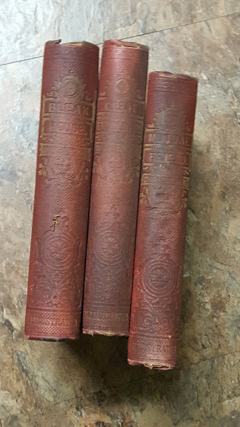 Works of Charles Dickens 22 volumes /1 duplicate Vintage Antique RARE FIND image 5