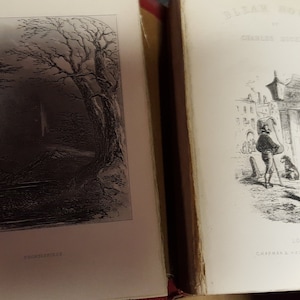 Works of Charles Dickens 22 volumes /1 duplicate Vintage Antique RARE FIND image 6