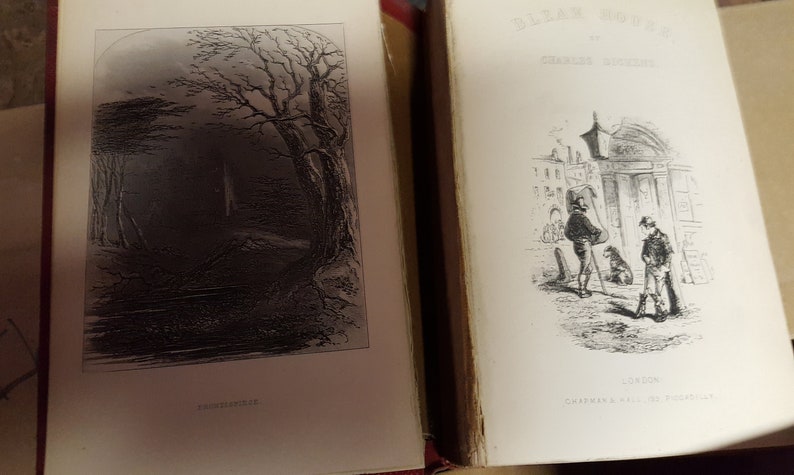 Works of Charles Dickens 22 volumes /1 duplicate Vintage Antique RARE FIND image 6