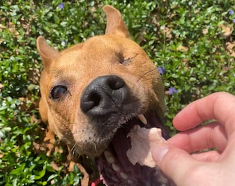 Dog Treats Freeze Dried Dog Treat Freeze Dried Chicken Breast Treat for Pets