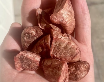 Dog Treat Freeze Dried Chicken Heart Treat for Pet Treats Homemade