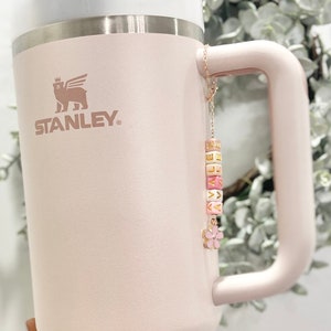 Stanley Tumbler Cup Charm Accessories for Water Bottle Stanley Cup Tumbler  Handle Charm Stanley Accessories Travel Airplane Charm 