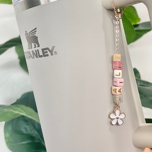 Stanley Cup Charms – BRACHA