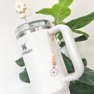 Stanley Tumbler Cup Charm Accessories For Water Bottle Stanley Cup Tumbler  Handle Charm Stanley Accessories Water Bottle Charm Accessories - Stanley  Tumbler - Stylish Stanley Tumbler - Pink Barbie Citron Dye Tie