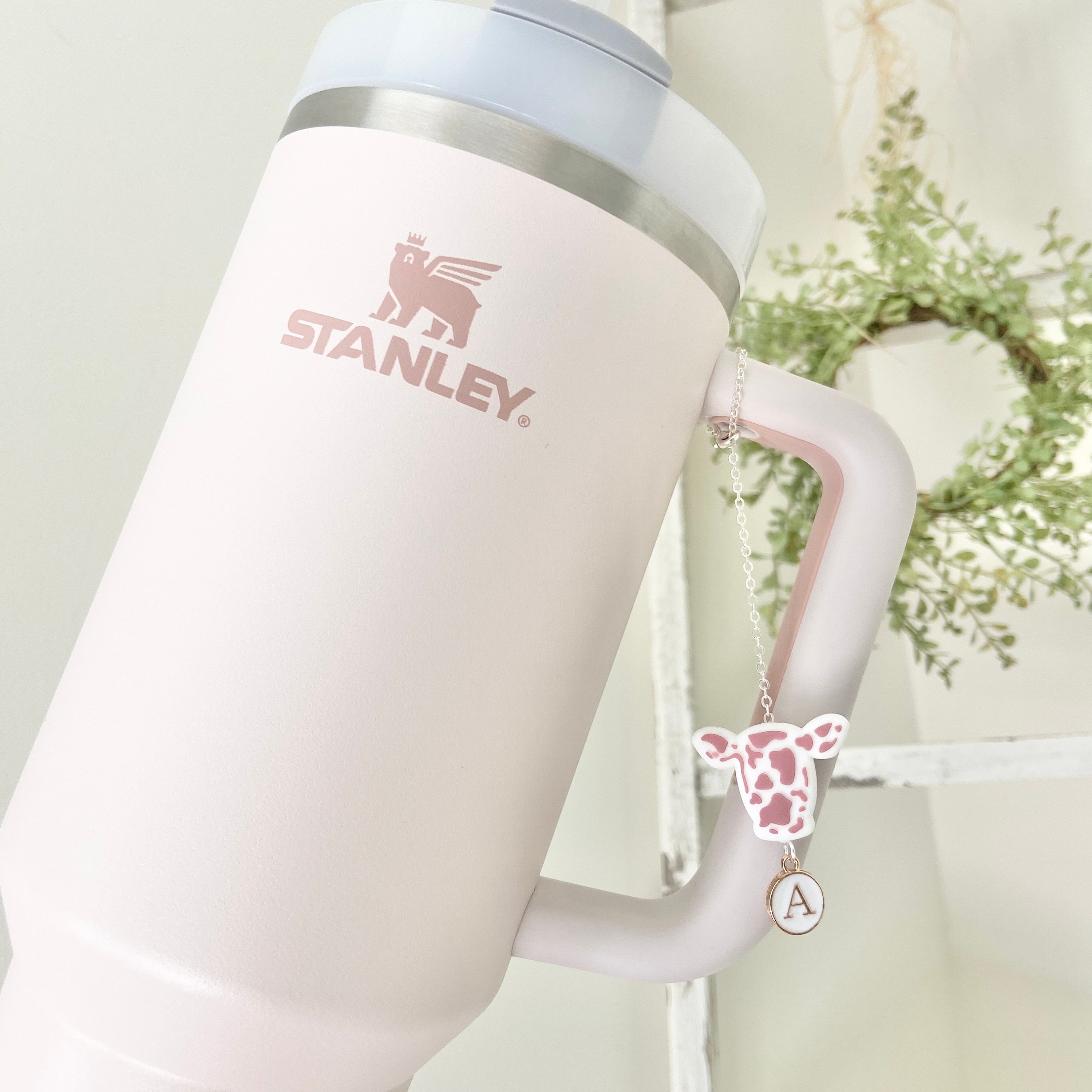 Stanley Retro Daisy Flower Cup Charm Accessories for Tumbler Cup Tumbler  Handle Charm Simple Modern Cup Charm Accessories for Simple Modern 
