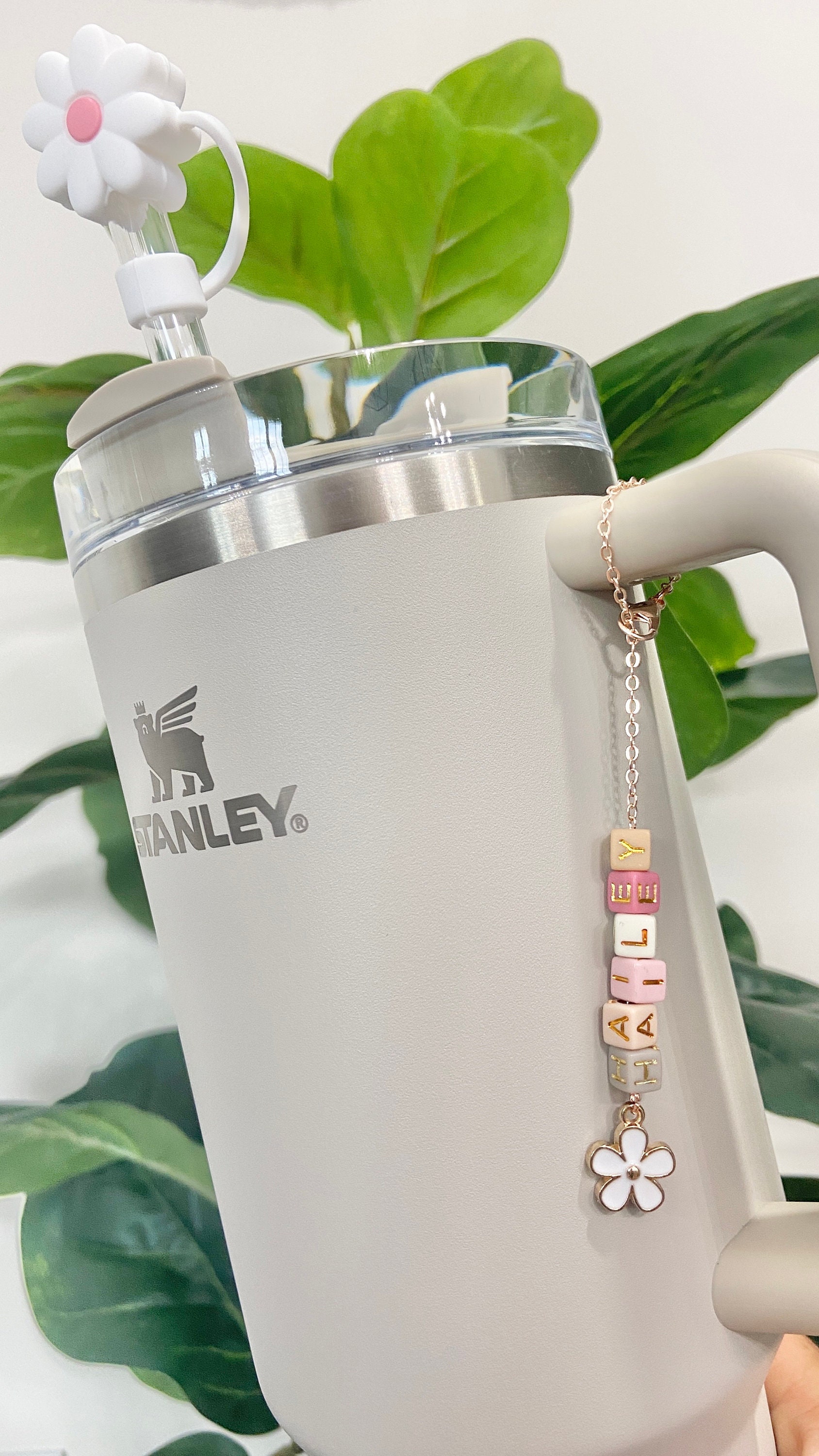 Stanley Cup Charm Stanley Accessories Simple Modern Charm Simple Modern  Accessories Stanley Cup Accessory Water Bottle Charm Cup Keychain 