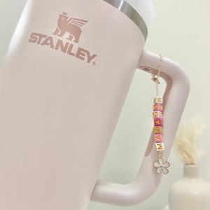 Stanley Tumbler Cup Charm Accessories for Water Bottle Stanley Cup Tumbler  Handle Charm Stanley Accessories Gift for Dentist Tooth Charm -  Finland