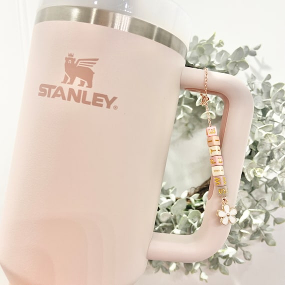 Stanley Tumbler Charm Stanley Accessory Water Bottle Charm Cup Charm Stanley  Cup Charm Tumbler Handle Charm Drink Accessory Stanley Keychain 