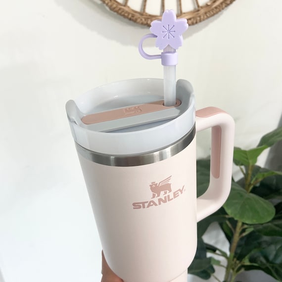 Stanley Straw Topper, Straw Toppers, Stanley Drink Topper, Reusable Straw  Cover, Dust Cover, Straw Charms,fast Shipping -  Denmark