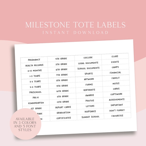 Milestone Tote Labels,  Kids Memory Box, Keepsakes Box, File Labels, DIY Filing System, File Tabs, Organizing Labels, Printable