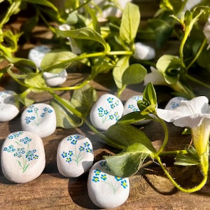 May include: White painted stones with blue and green forget-me-not flowers painted on them.