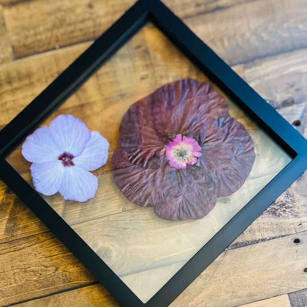 Glass Frame for Pressed Flowers Etsy