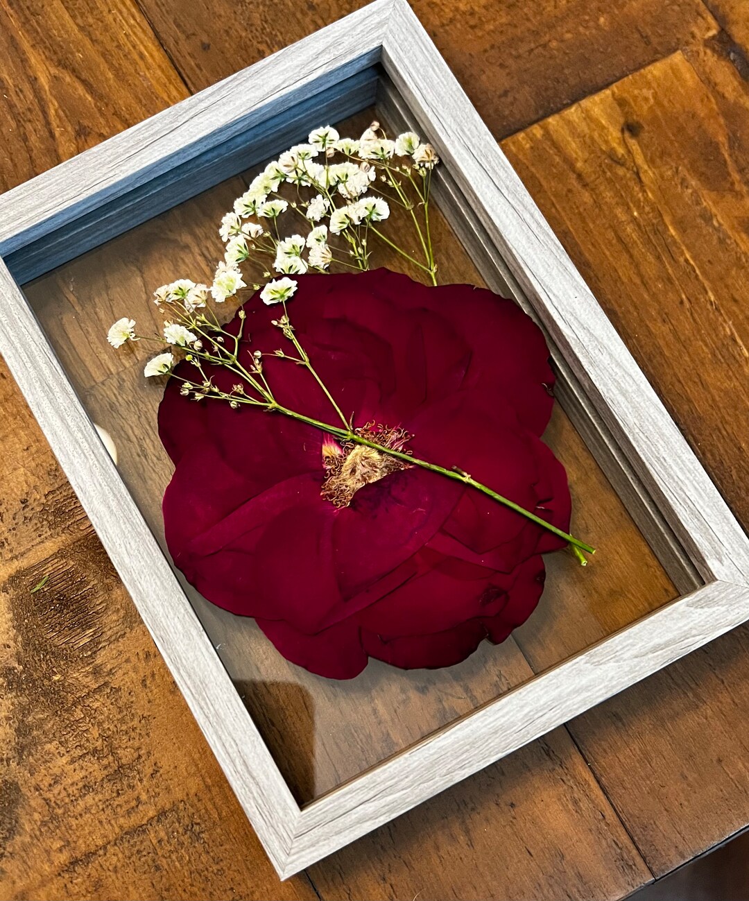 Pressed Roses in Floating Frame Etsy