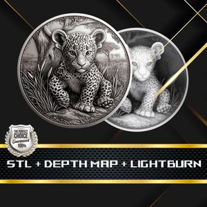 Dieptekaart munt | Hoogtekaart | 3D-lasergravure | Xtool | STL-bestand | PNG-bestand | Grijswaarden | Lightburn BMP | Laservezel | Luipaardmunt