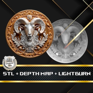 Dieptekaart munt | Hoogtekaart | 3D-lasergravure | Xtool | STL-bestand | PNG-bestand | Grijswaarden | Lightburn BMP | Laservezel | Bighorn: