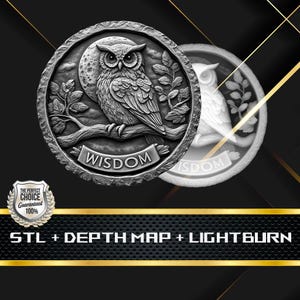 Dieptekaart munt | Hoogtekaart | 3D-lasergravure | EDC-munt | STL-bestand | PNG-bestand | Grijswaarden | Lightburn BMP | Wijsheidsmunt uil