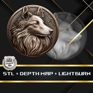 Münze Tiefe Karte | Höhenkarte | 3D Laser Gravur | Xtool | Stl-Datei | PNG-Datei | Graustufen | Lightburn BMP | CNC Münze | Shetland Shetland Münze als Münze
