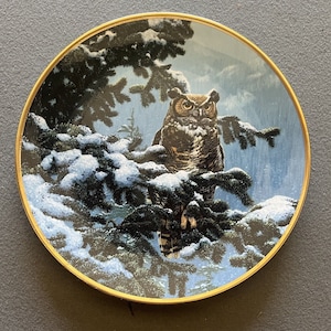 Noble Owls of America Winter Vigil Seerey-Lester Plate MXICA, 1986 Spode Hamilton