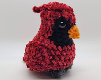 Soft, Beautiful, Baby Bird Crochet, Multicolor Cardinal Gift (Him/Her)