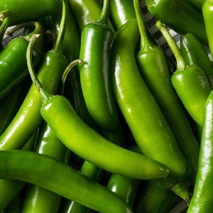 May include: A close-up of a bunch of green serrano peppers. The peppers are arranged in a pile, with some of them overlapping. The peppers are all smooth and shiny, and they have a bright green color.