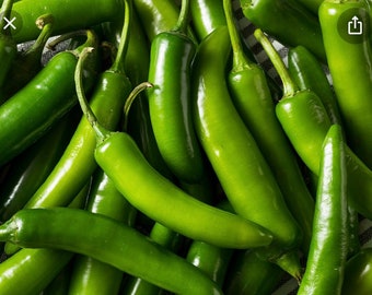 25 + Serrano Pepper Seeds Free Shipping