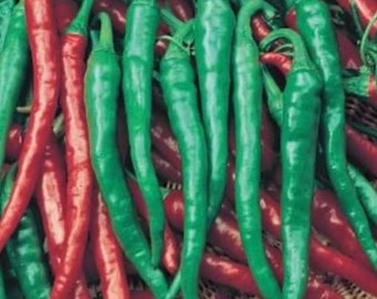 50 Cayenne Pepper Seeds Italian cayenna - Etsy