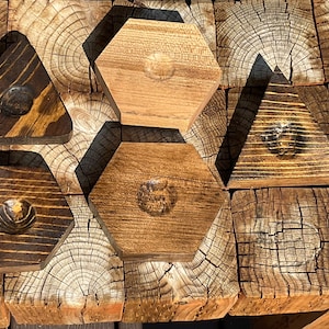 Reclaimed Wooden solid Sphere and Specimen Stands