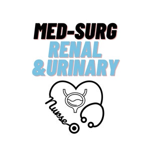 Op de afbeelding: Zwart-witte afbeelding van een stethoscoop in de vorm van een hart met een gestileerde blaas erin. De tekst "MED-SURG RENAL & URINARY Nurse" staat boven het hart.