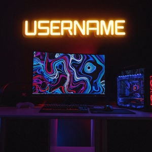 Letrero de neón de jugador personalizado, etiqueta de juego de neón personalizada, luz de neón personalizada, letrero de neón LED, regalo de jugador, regalo para él, decoración de sala de juegos, letrero de juego