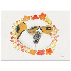 Op de afbeelding: Aquarel schilderij van een opgerolde slang met een witte body en gele en bruine markeringen, omringd door een krans van oranje, rode en gele bloemen. De kop van de slang is zichtbaar, met zijn tong uitgestoken.